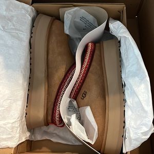 NWT UGG TAZZ CHESTNUT SIZE 8. Never worn and in original packaging